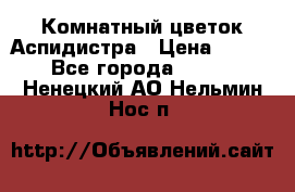 Комнатный цветок Аспидистра › Цена ­ 150 - Все города  »    . Ненецкий АО,Нельмин Нос п.